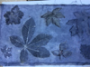 Barbara Janssen: Eco Print 2